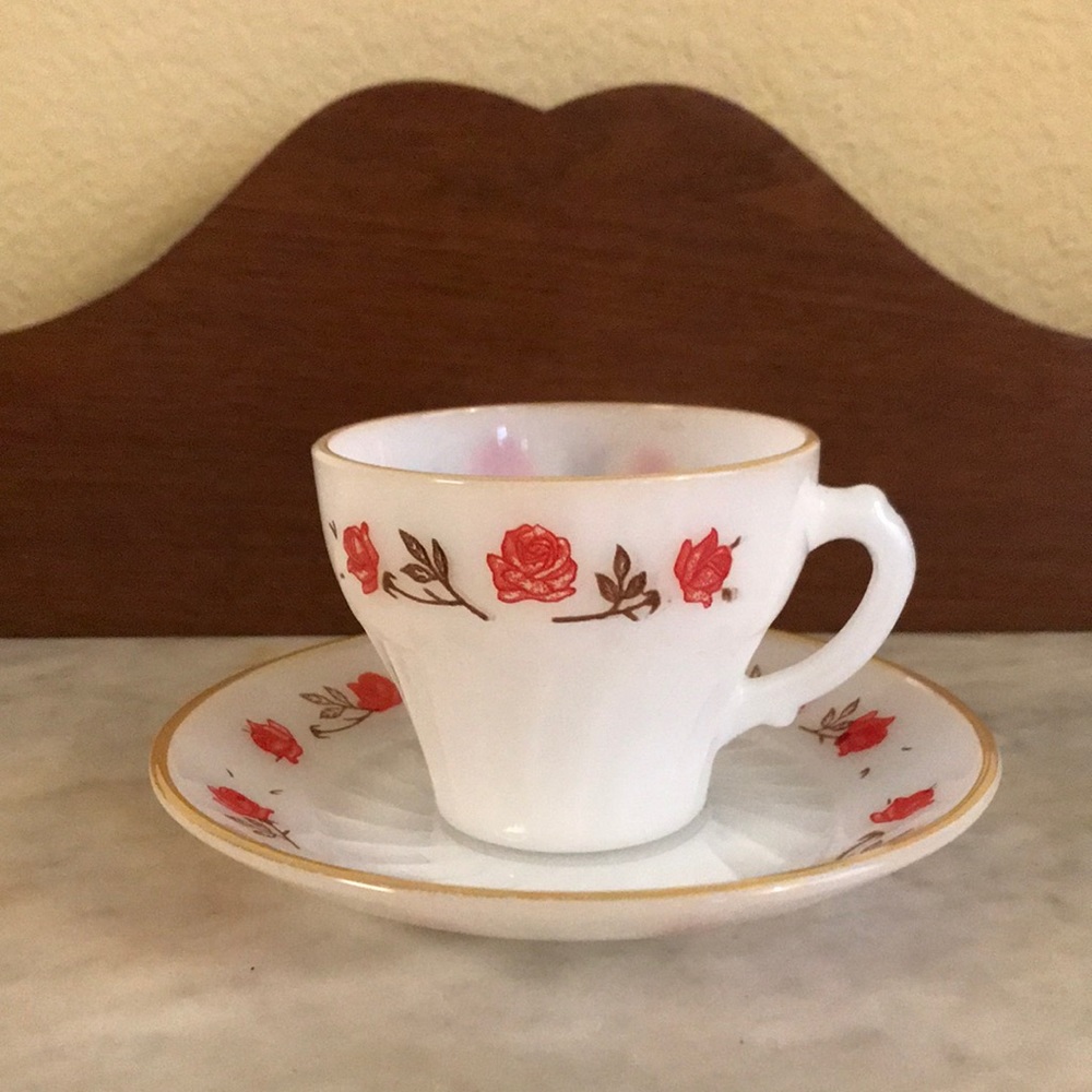 Vintage-Termocrisa-Teacup And Saucer-Roses